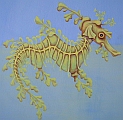 Leafy Sea Dragon - sea mural